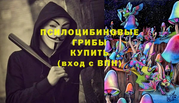 ГАЛЛЮЦИНОГЕННЫЕ ГРИБЫ Козельск