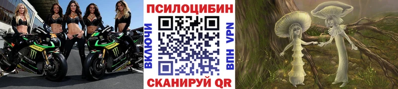 Псилоцибиновые грибы мицелий  Купить закладки  Буинск 